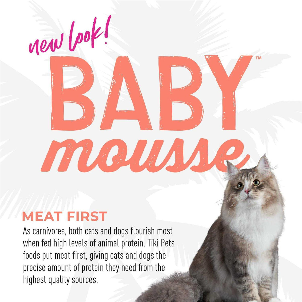 Salmon & Chicken Wet Cat Food Q87627