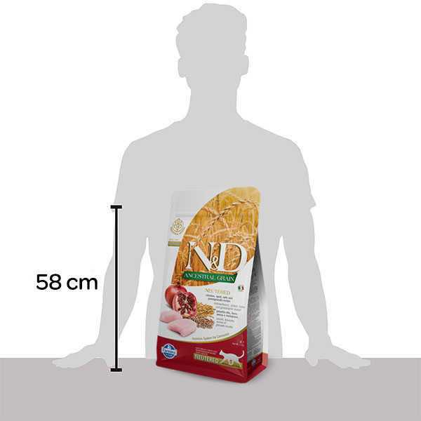 Chicken & Pomegranate Dry Cat Food U245720