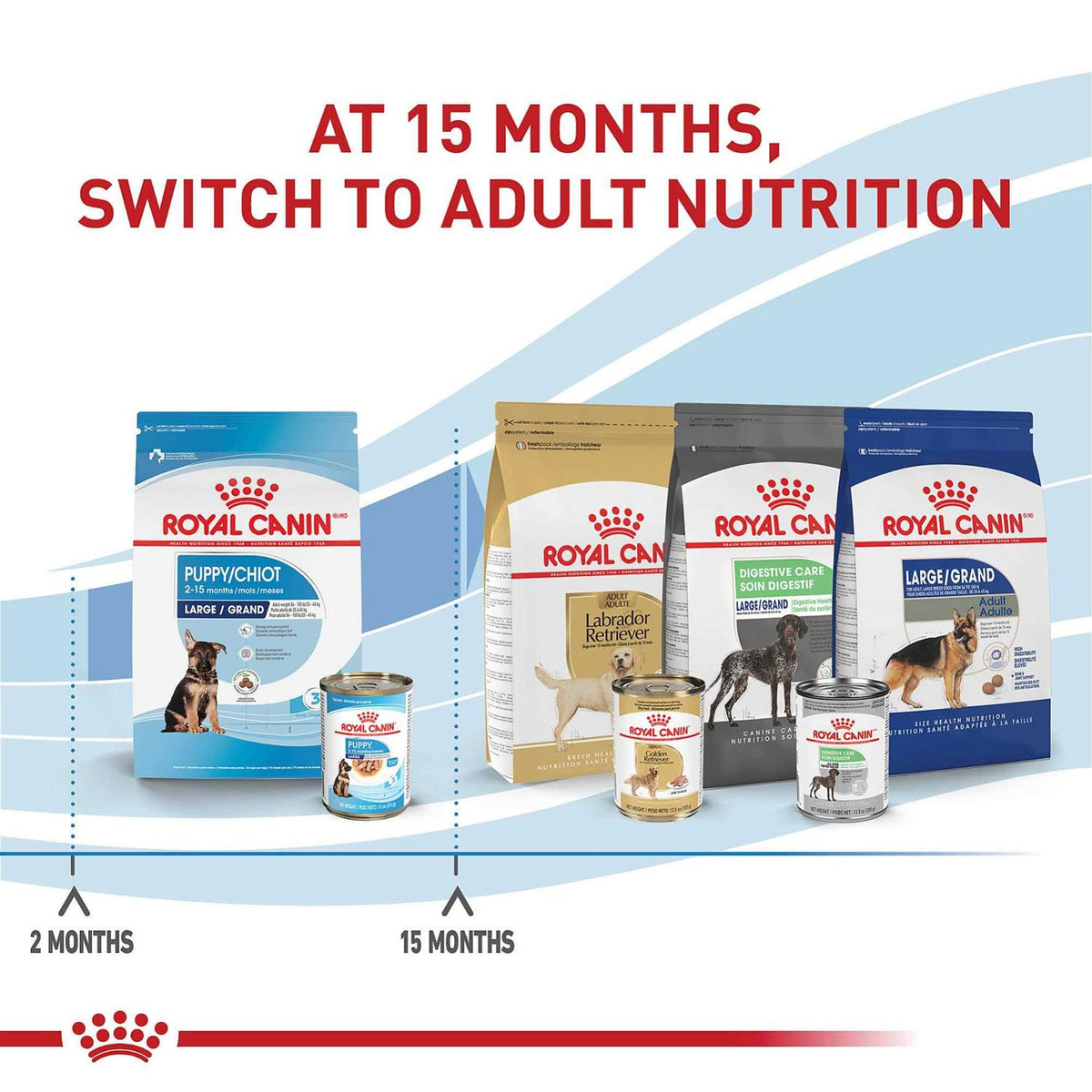 Wet Dog Food R78650