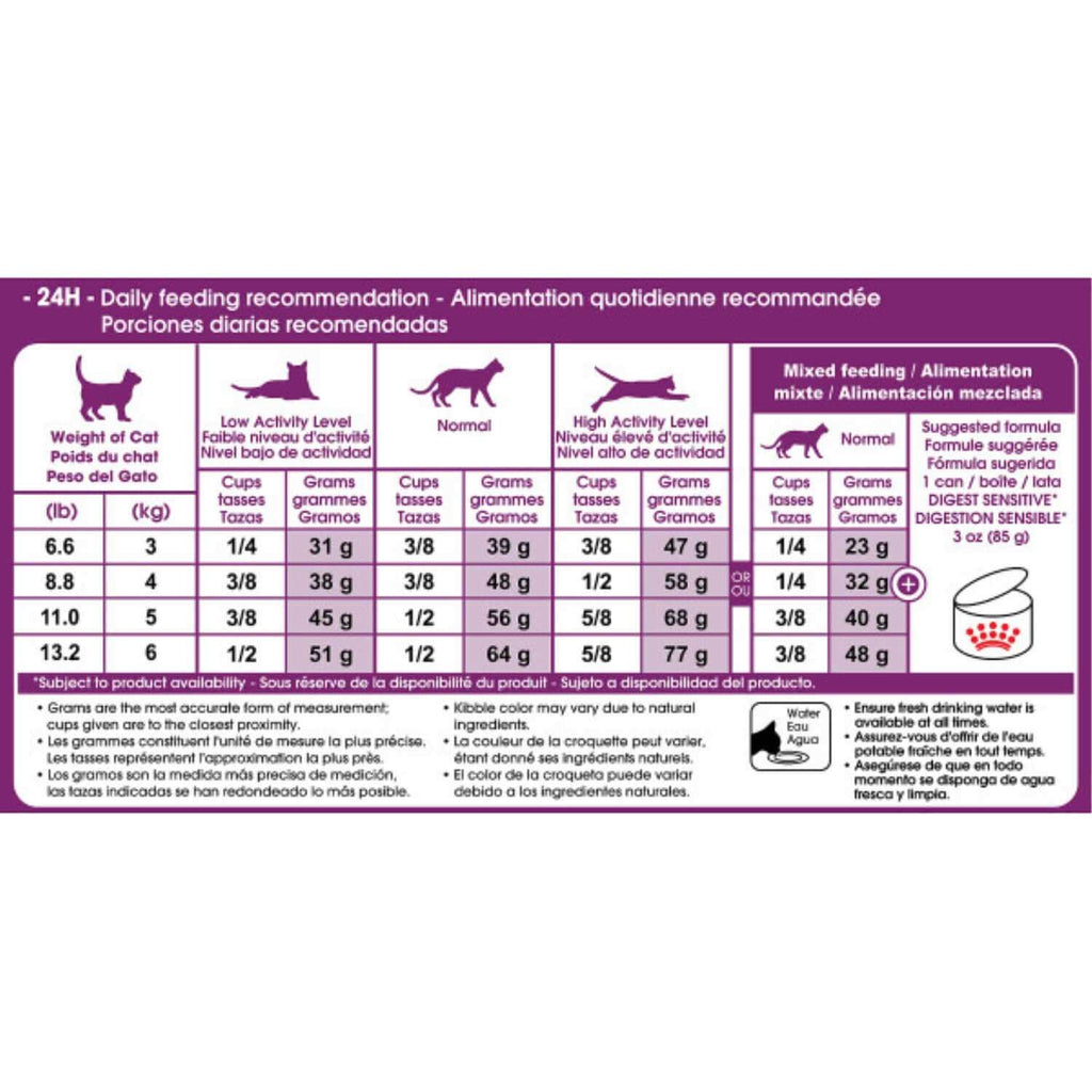 Cat Dry Food P18238