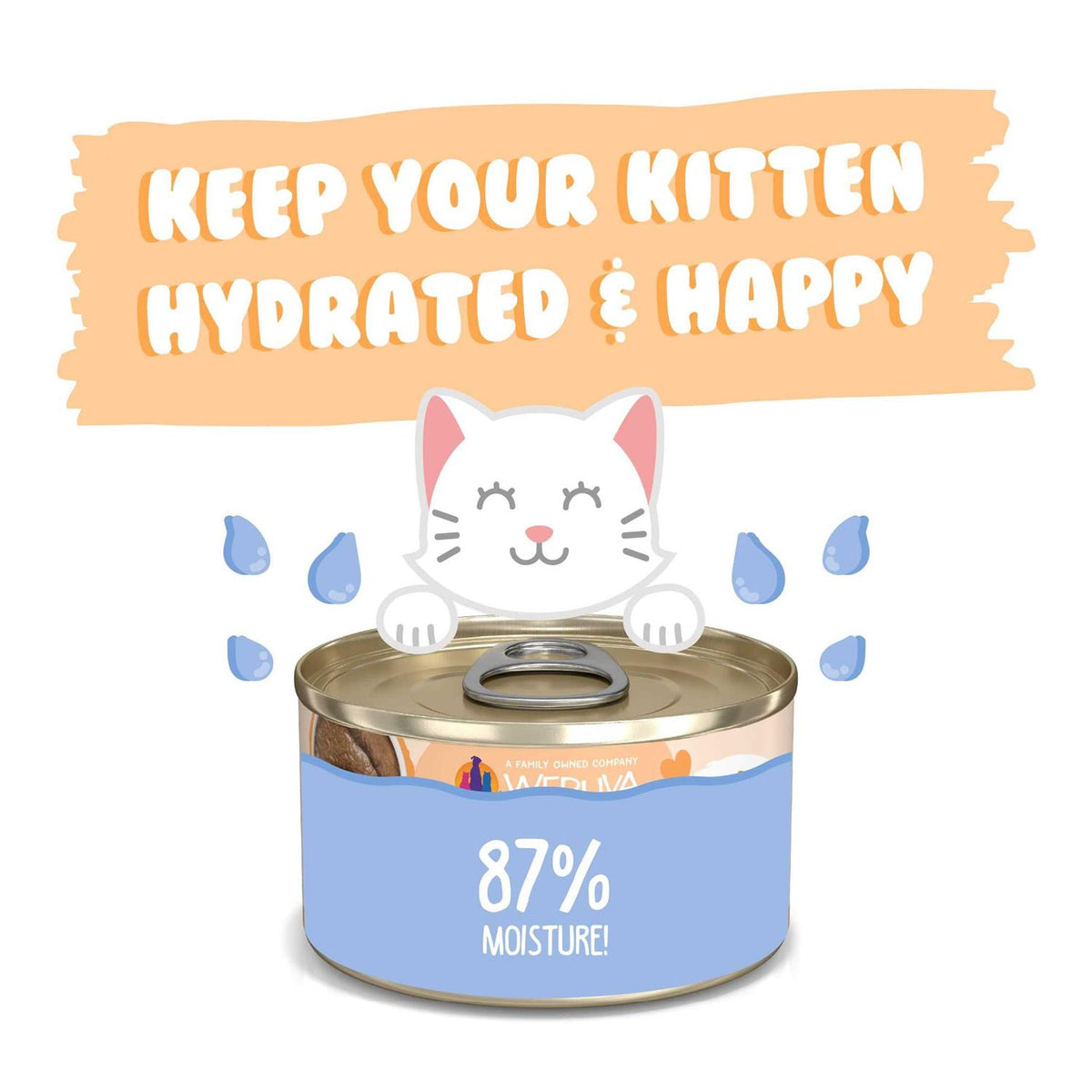 Kitten Tuna & Salmon Puree Cat Food W7760