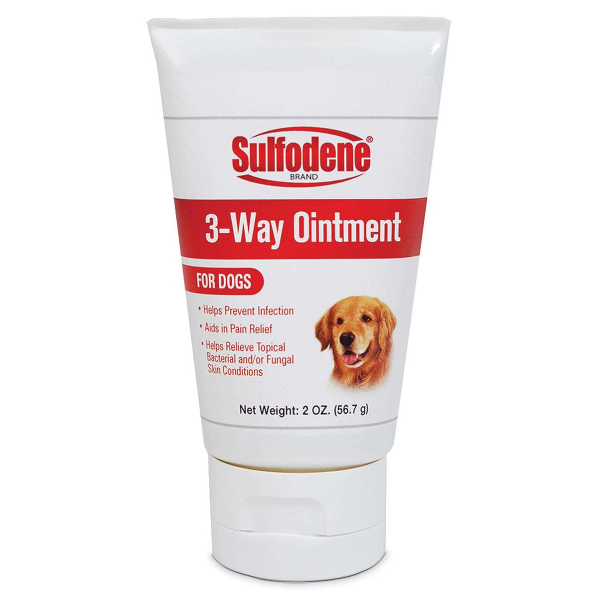 Dog Ointment U96969