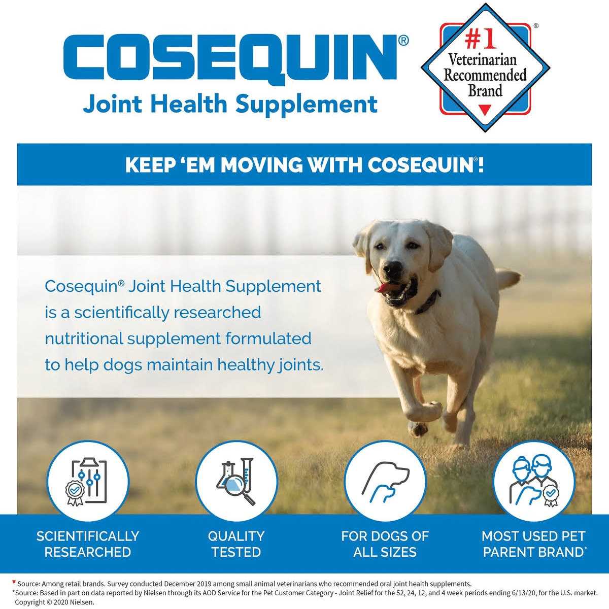 Soft Chews with MSM Plus Omega-3s for Dogs W372