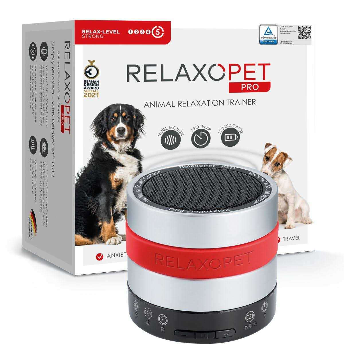 Dog Q796874