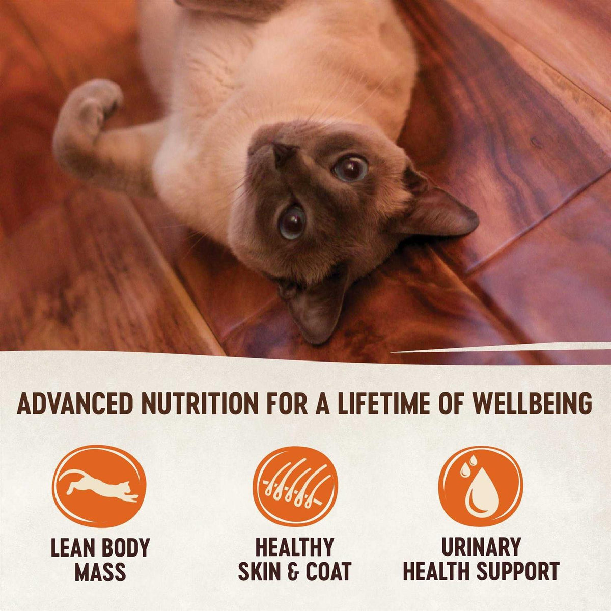 Grain Free Chicken & Chicken Liver Pate Wet Canned Cat Food O205