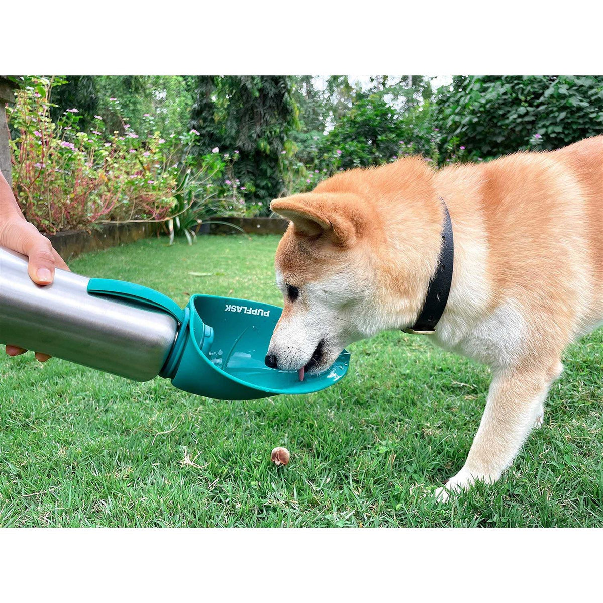 Large Stainless Steel Dog Water Bottle G354632