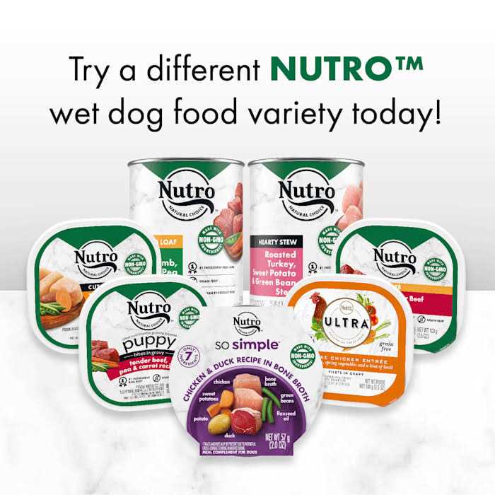 Chicken & Duck Recipe Wet Dog Food in Bone Broth M145