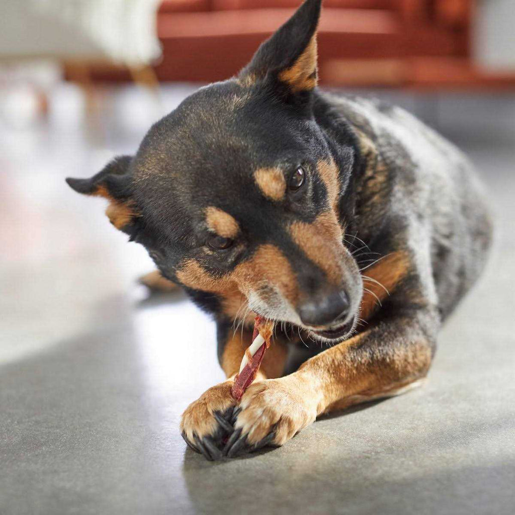 Triple Flavor Rawhide Twist Dog Treats K281