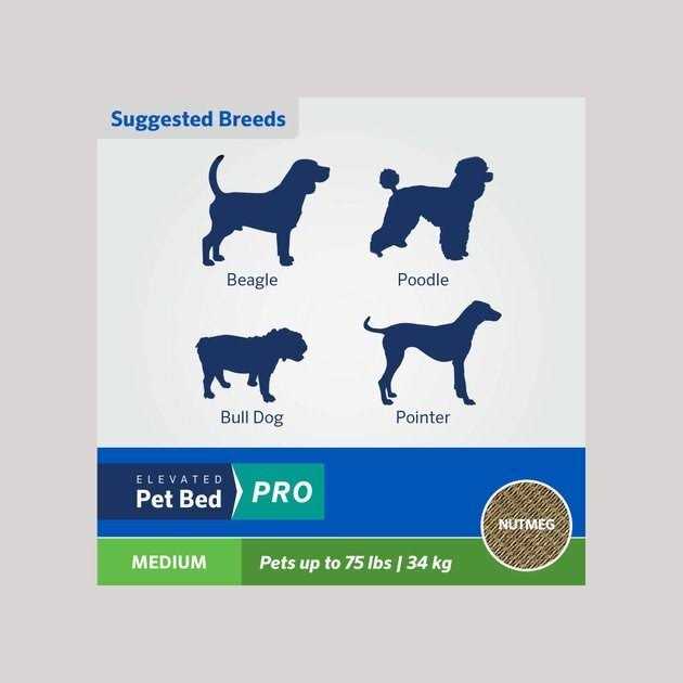 Elevated Pet Bed H6930