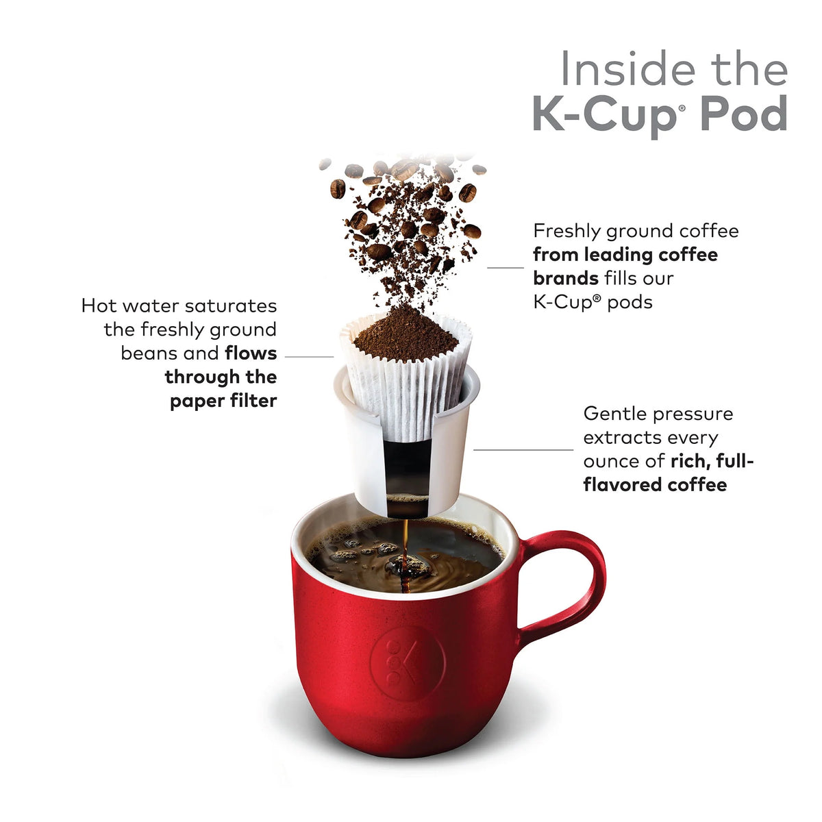 Hazelnut Flavored Light Roast K-Cup Pods 32 Count E8152