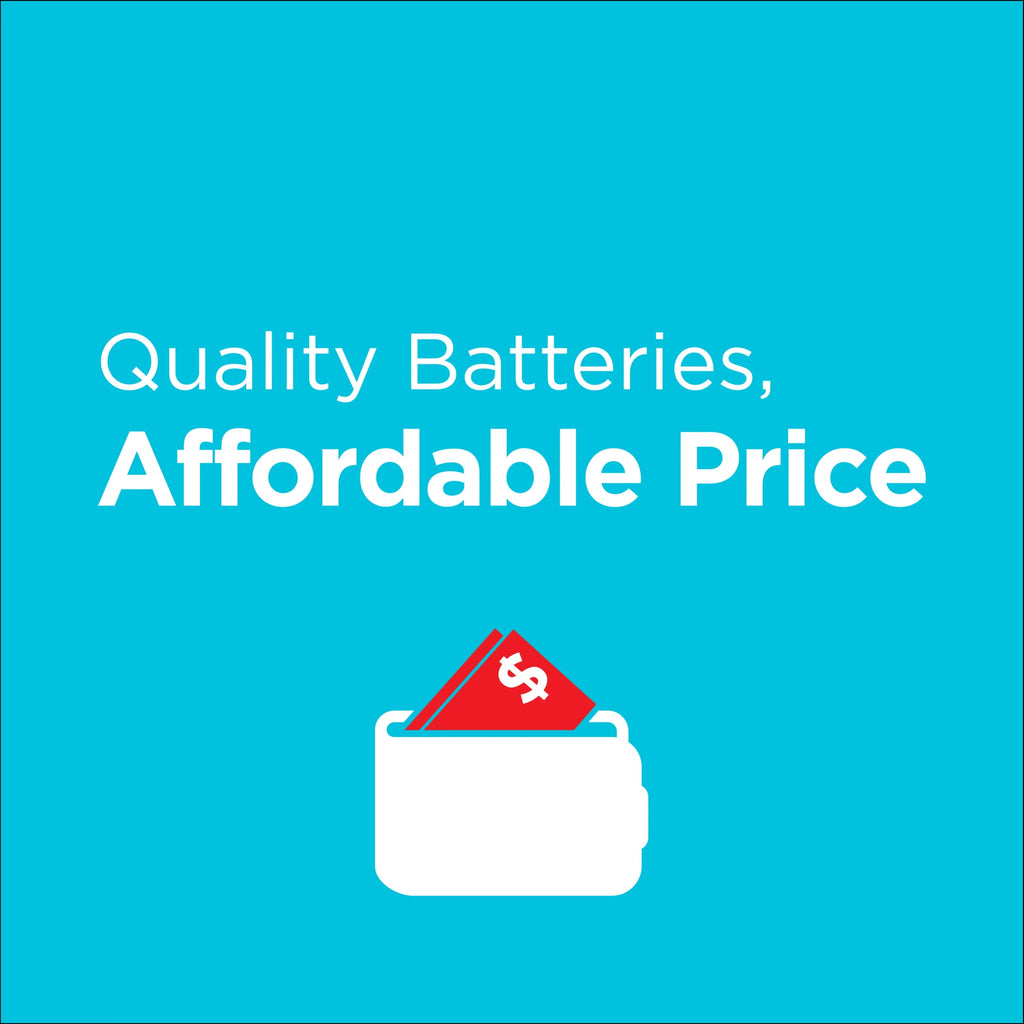 Alkaline D Batteries 12 Pack A2073