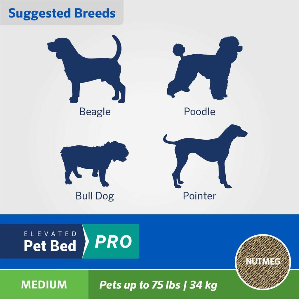 Elevated Pet Bed H6930