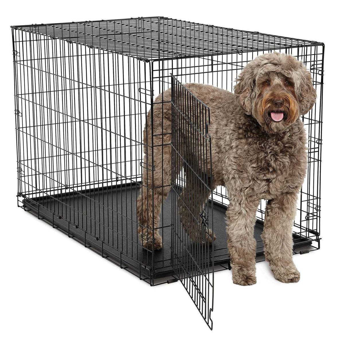Single-Door Dog Crate W2129