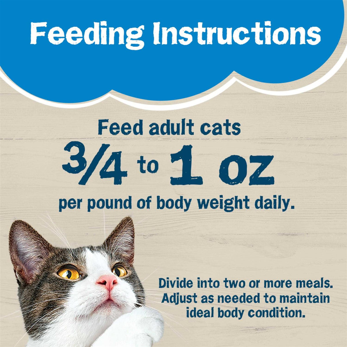 Wet Cat Food C70729