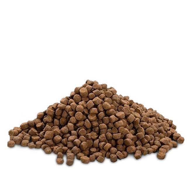High Protein Puppy Food A55428