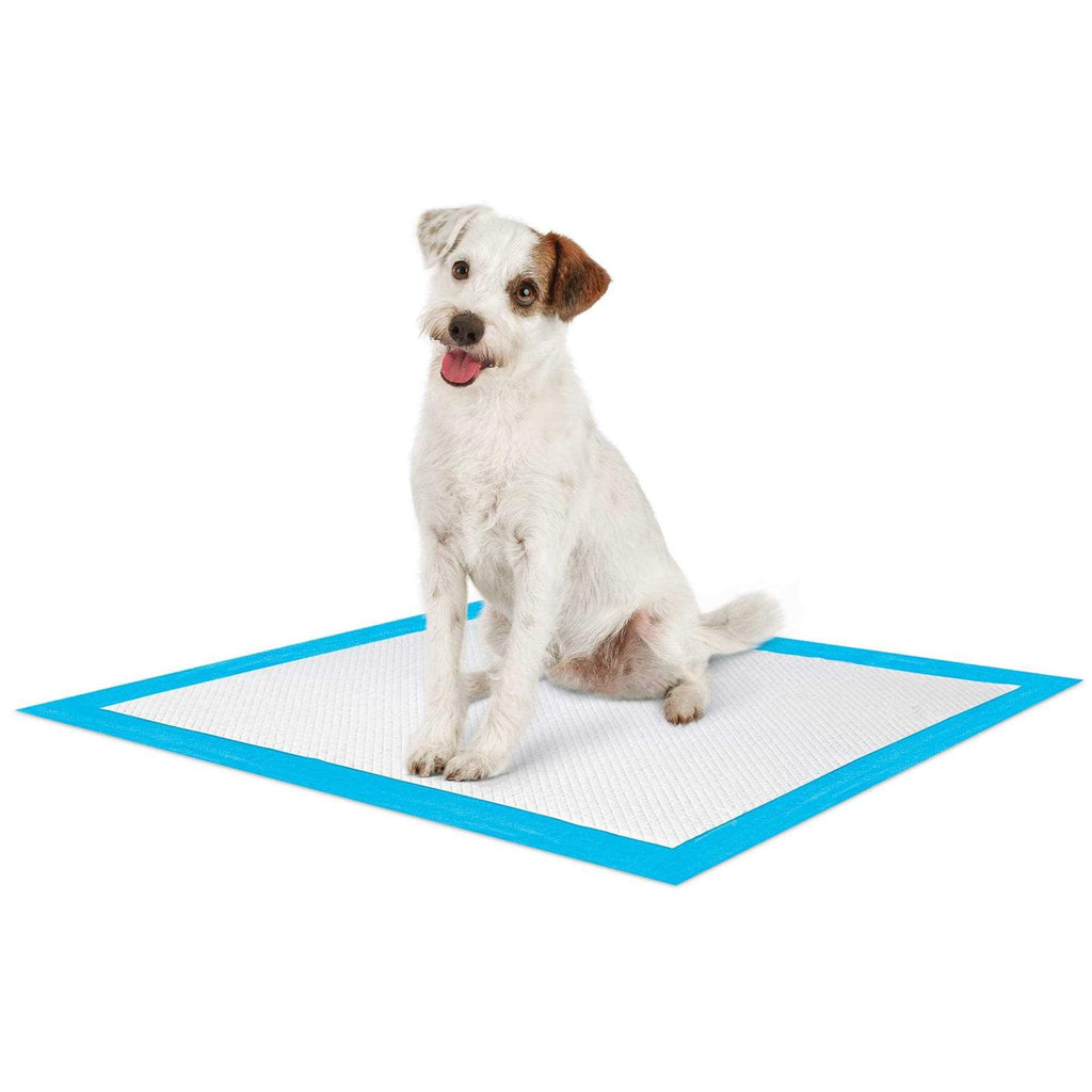 Large Quilted Potty Pads G2100