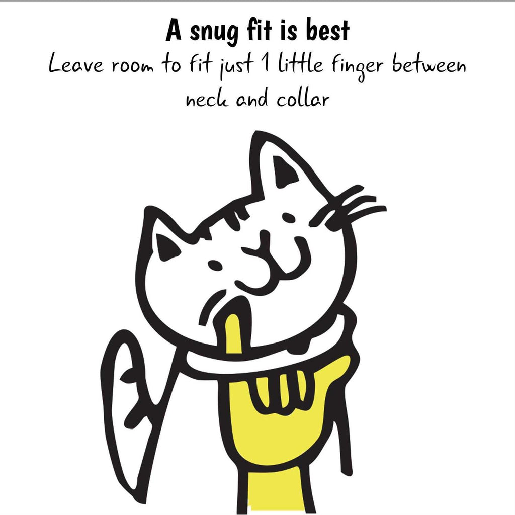 Breakaway Bell Cat Collar B68501