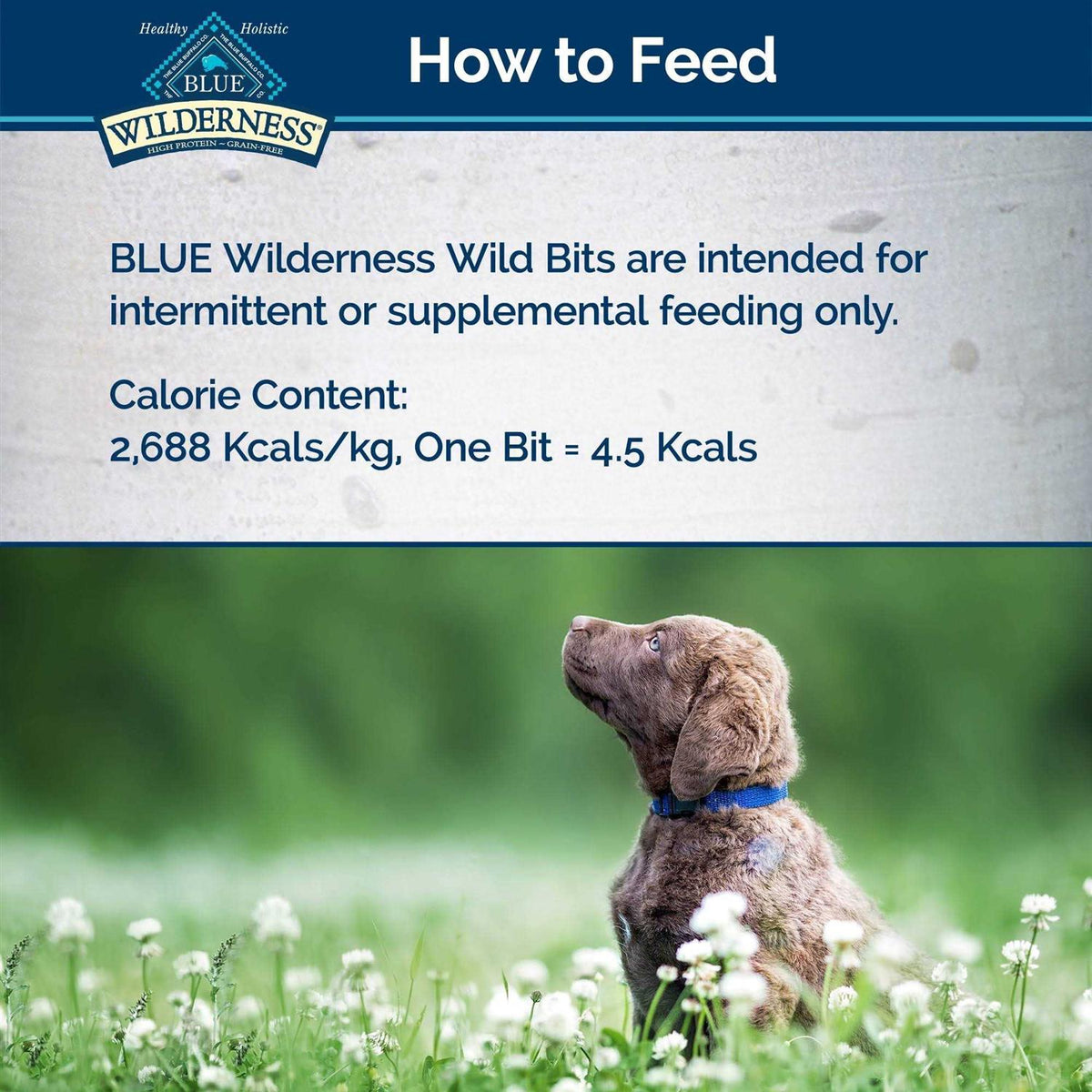Wild Bits Dog Treats N8967