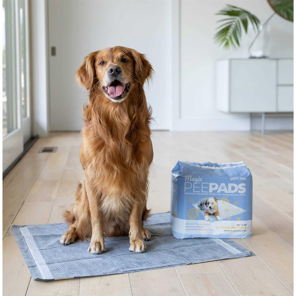 Dog Pee Pads N5776