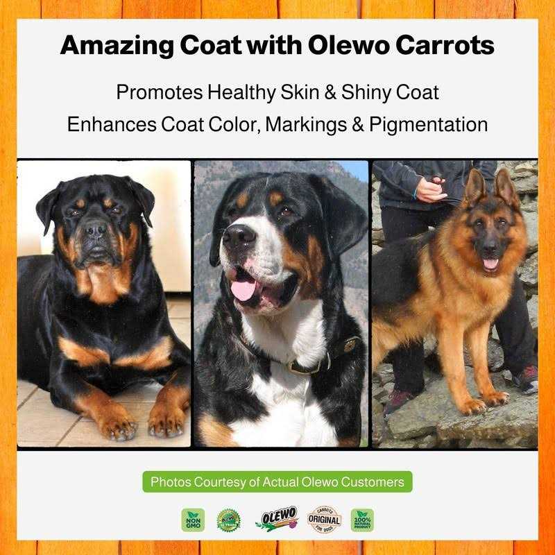 Carrots for Dogs Fiber Dog Food Toppers P9125