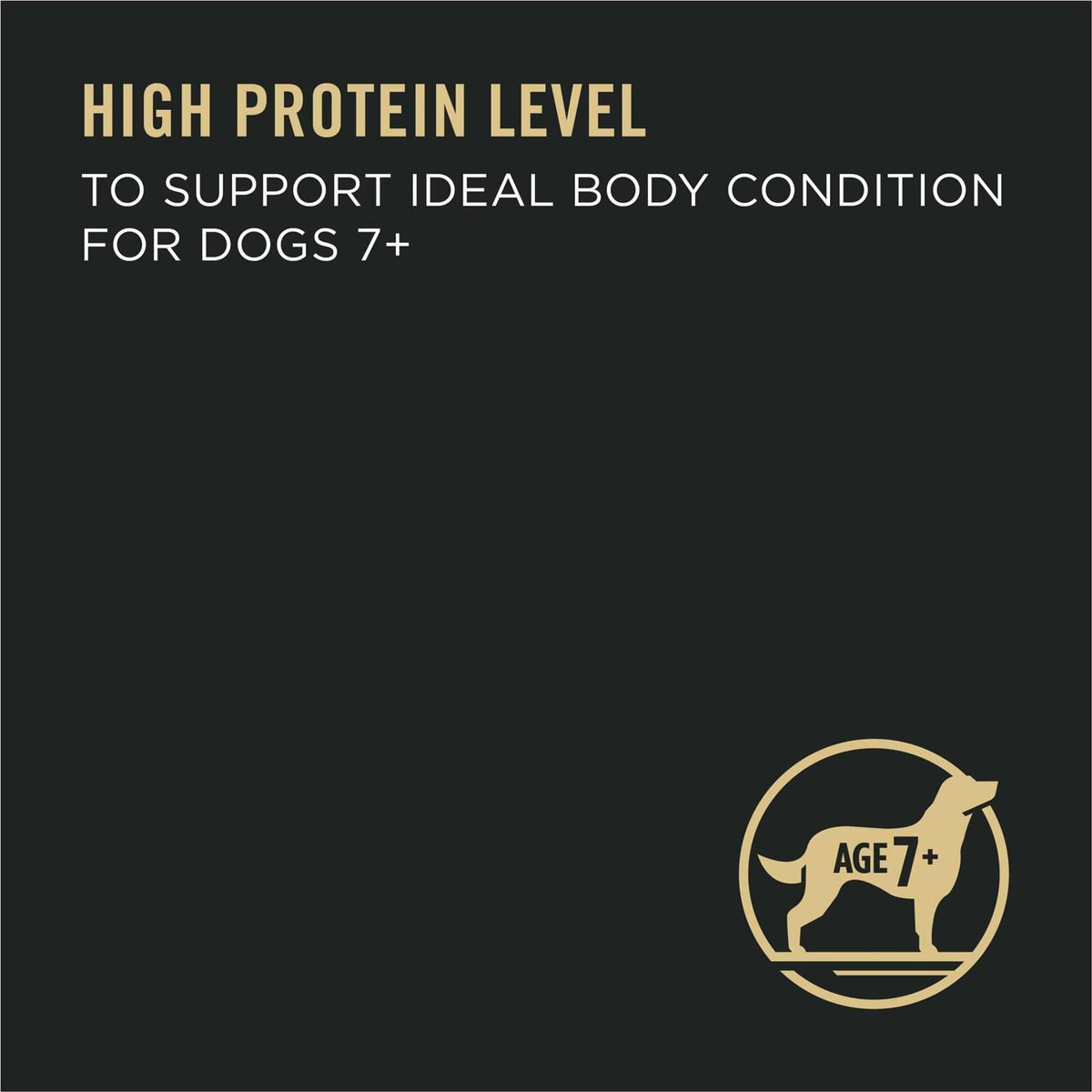High Protein Beef & Rice Dog Food N628
