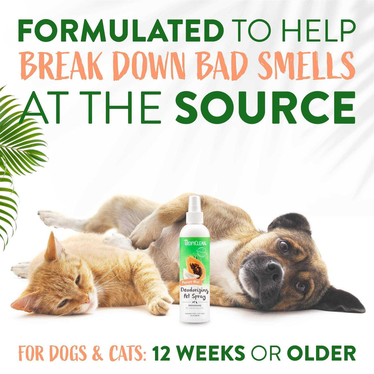 Papaya Deodorizing Pet Spray M763