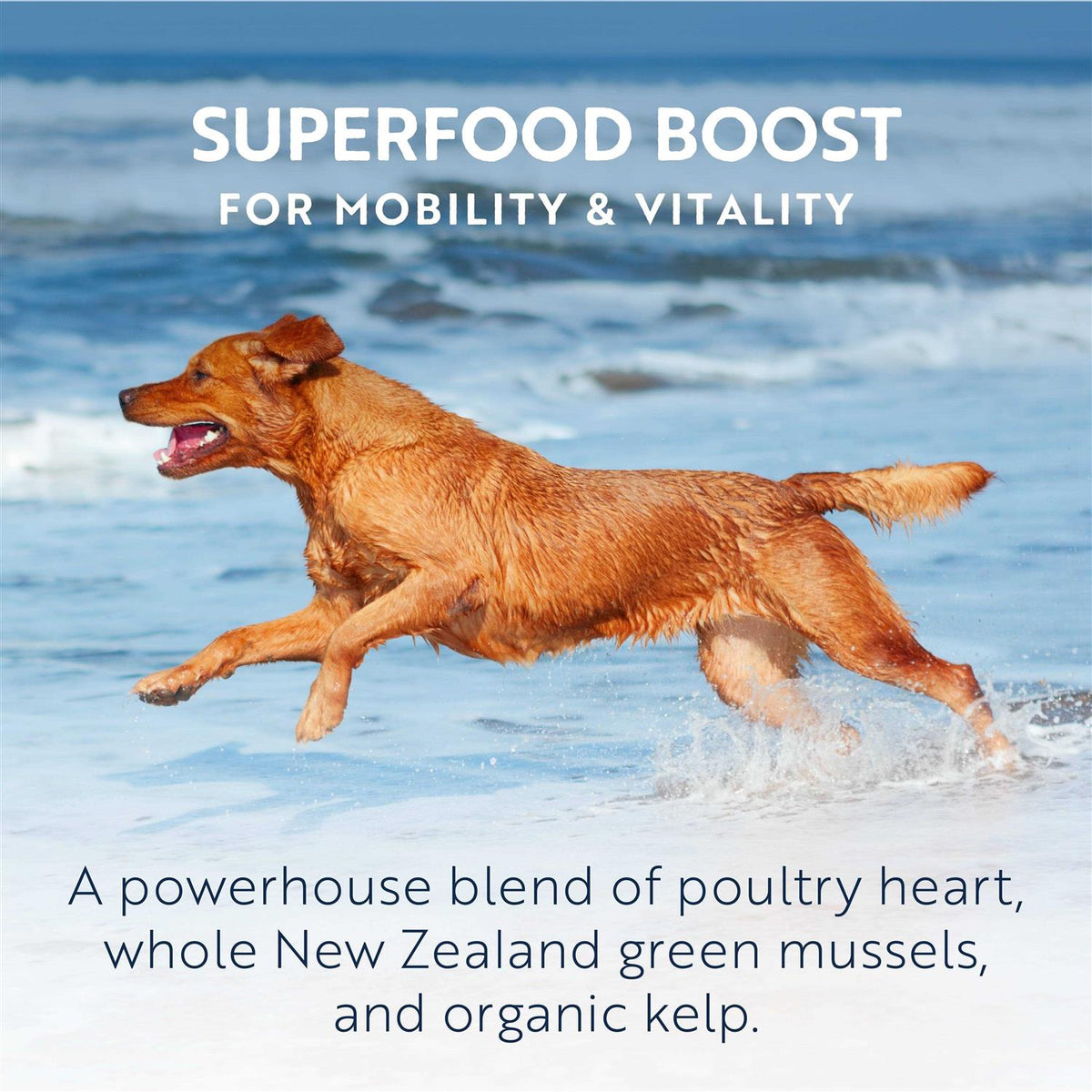 Air Dried Chicken Dog Food J34856