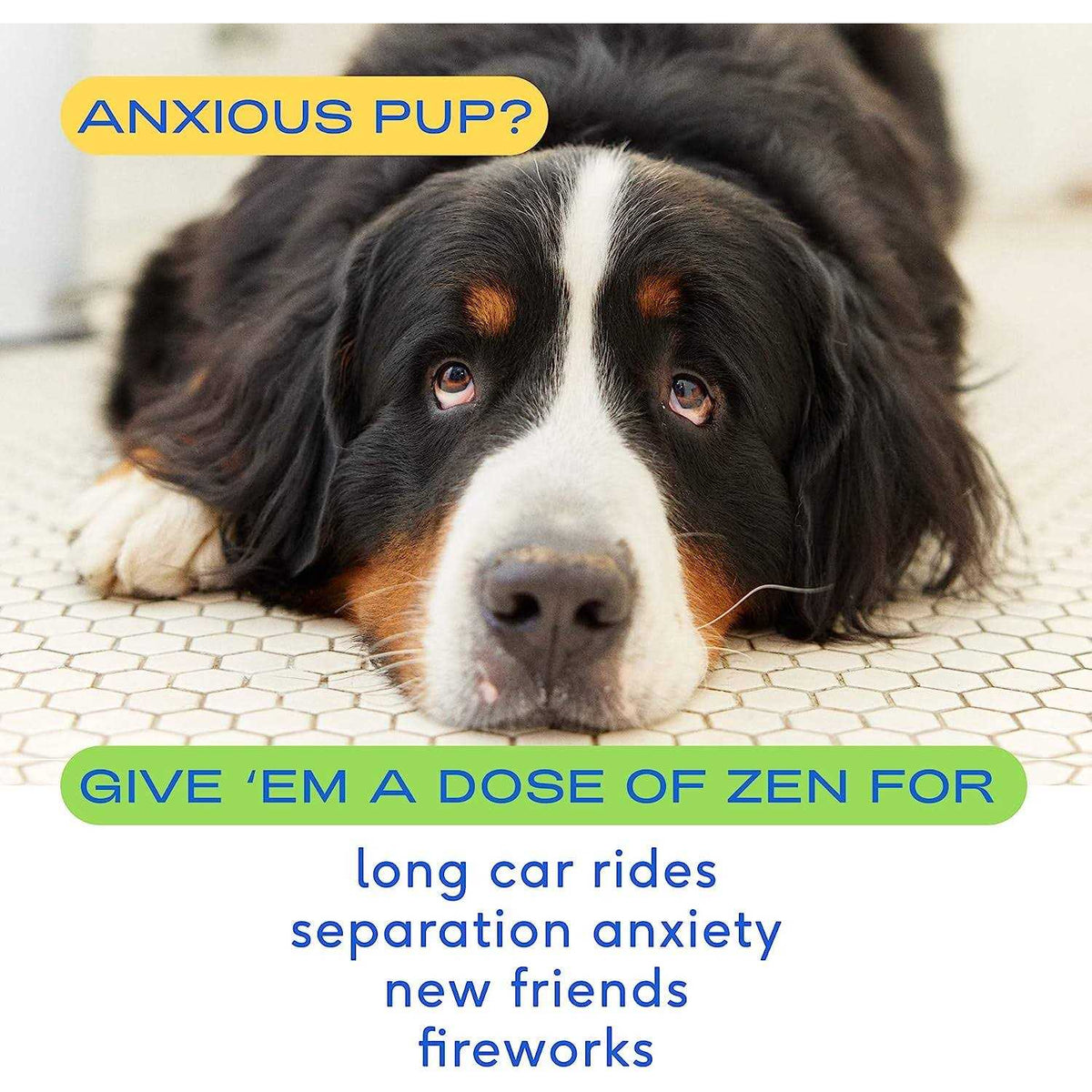 Calming Chews for Dogs S8555