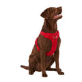Neoprene Dog Harness G286812