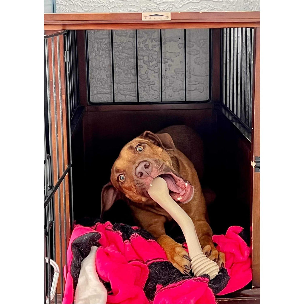 Tough Dog Chew Beef U846