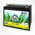 Lawn Mower and Tractor Battery Q633420