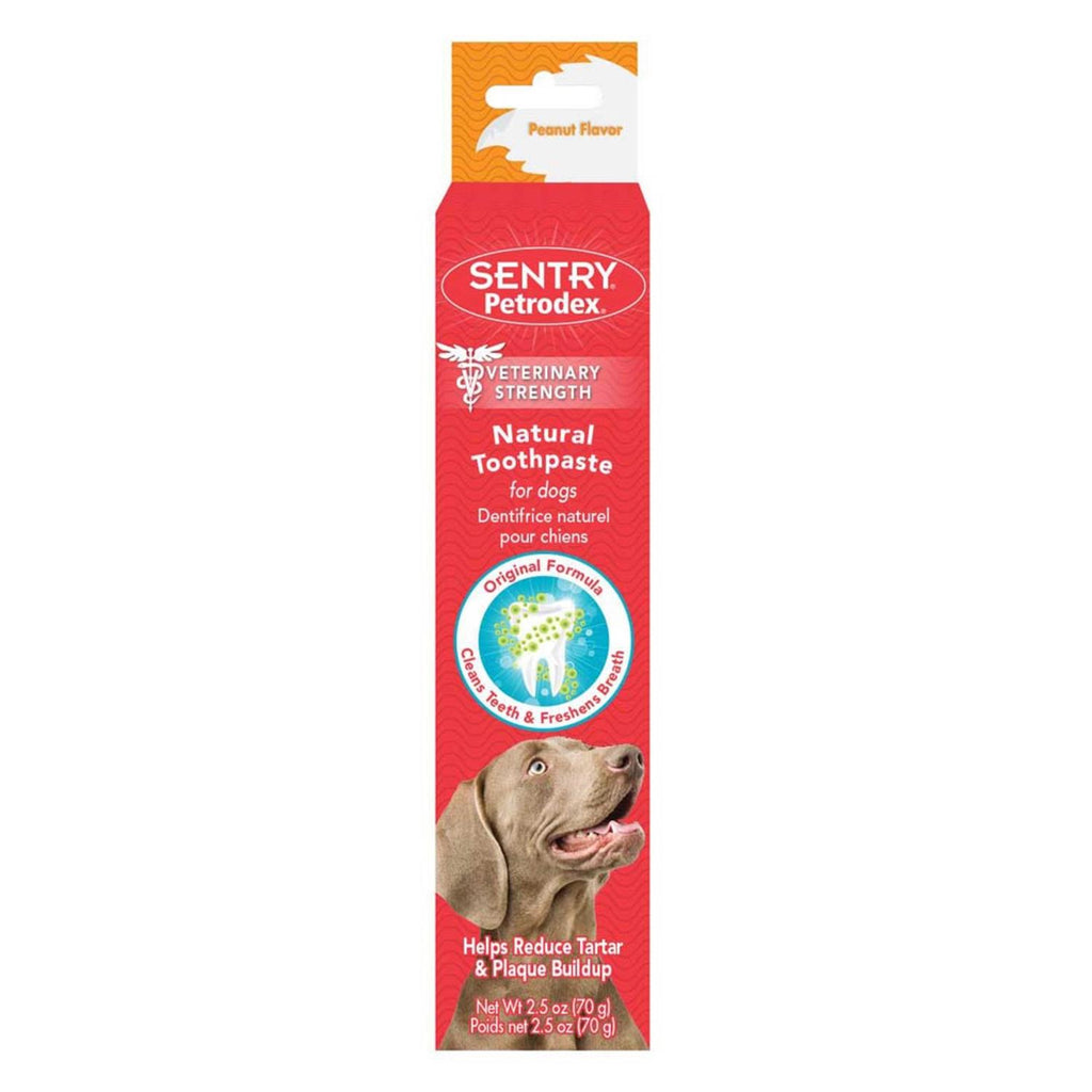 Natural Toothpaste for Dogs F9846