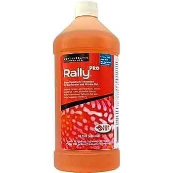 Ruby Reef Kick Ich Pro Q577