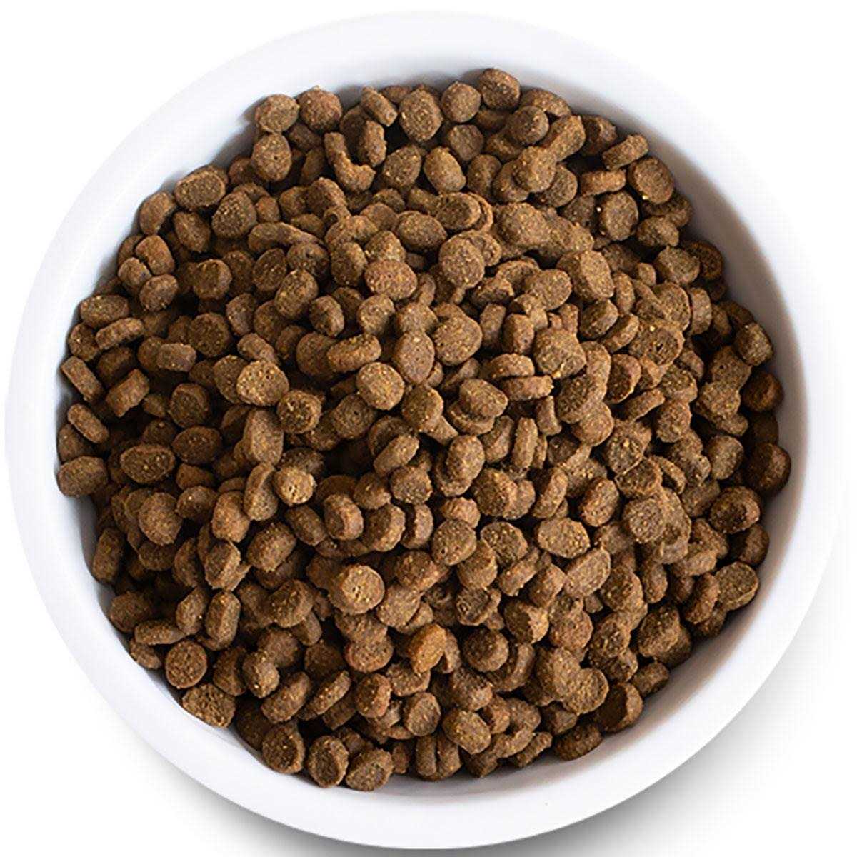 Wild-Caught Salmon Grain-Free Dry Cat Food O73089