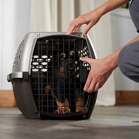 Gray Pet Carrier B44636
