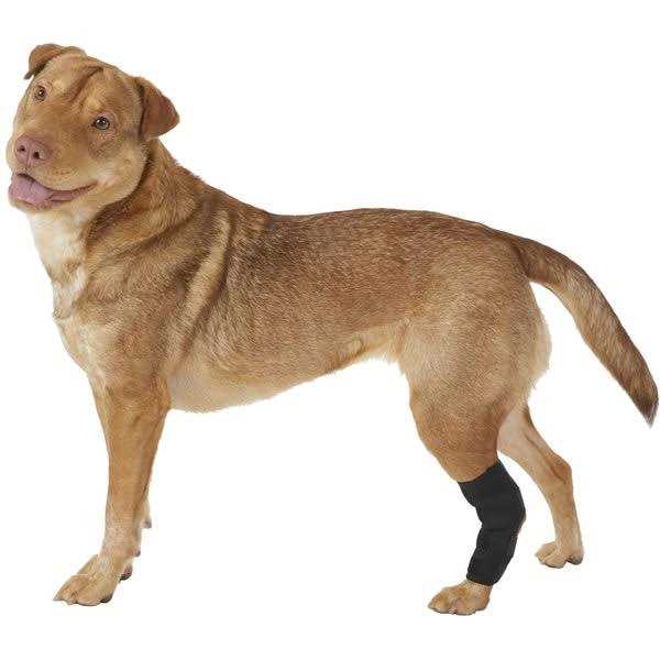 Dog Rear Leg Hock Joint Wrap Brace E903460