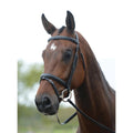 Black Full Bridle O50972