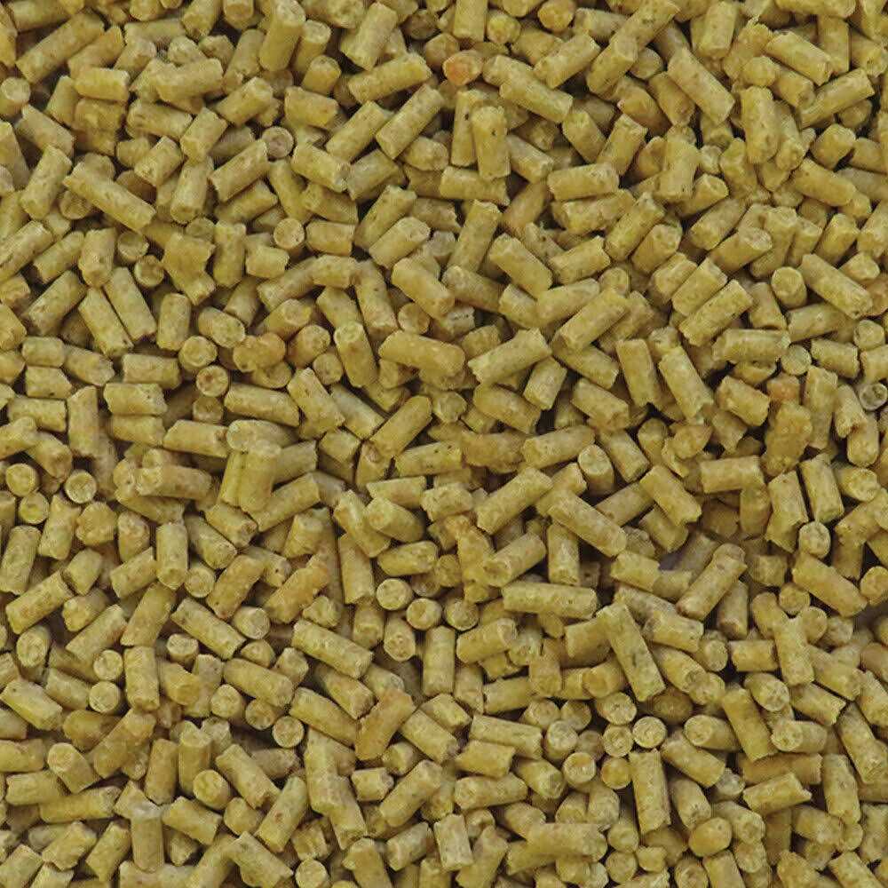 Tropical Fruit Bird Food H8349