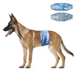 Male Disposable Dog Diapers 48 Count A76449