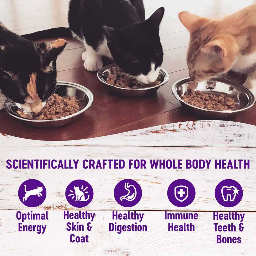 Cat Food K51510