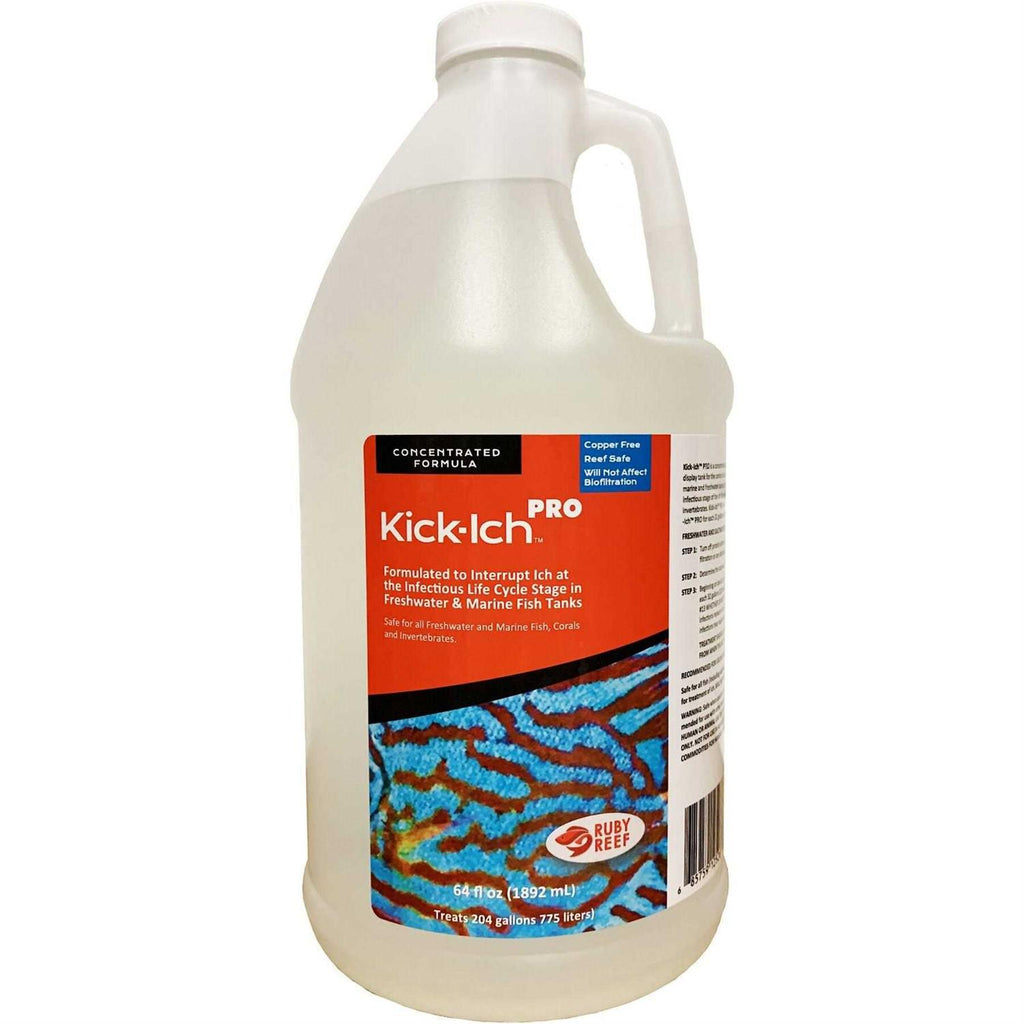 Ruby Reef Kick Ich Pro Q577