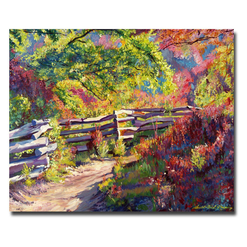 Canvas Art C156
