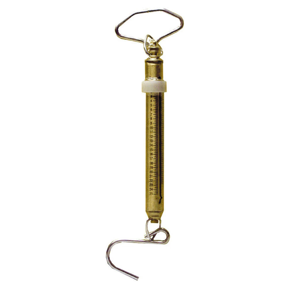Brass 50 Pound Fishing Scale V8977