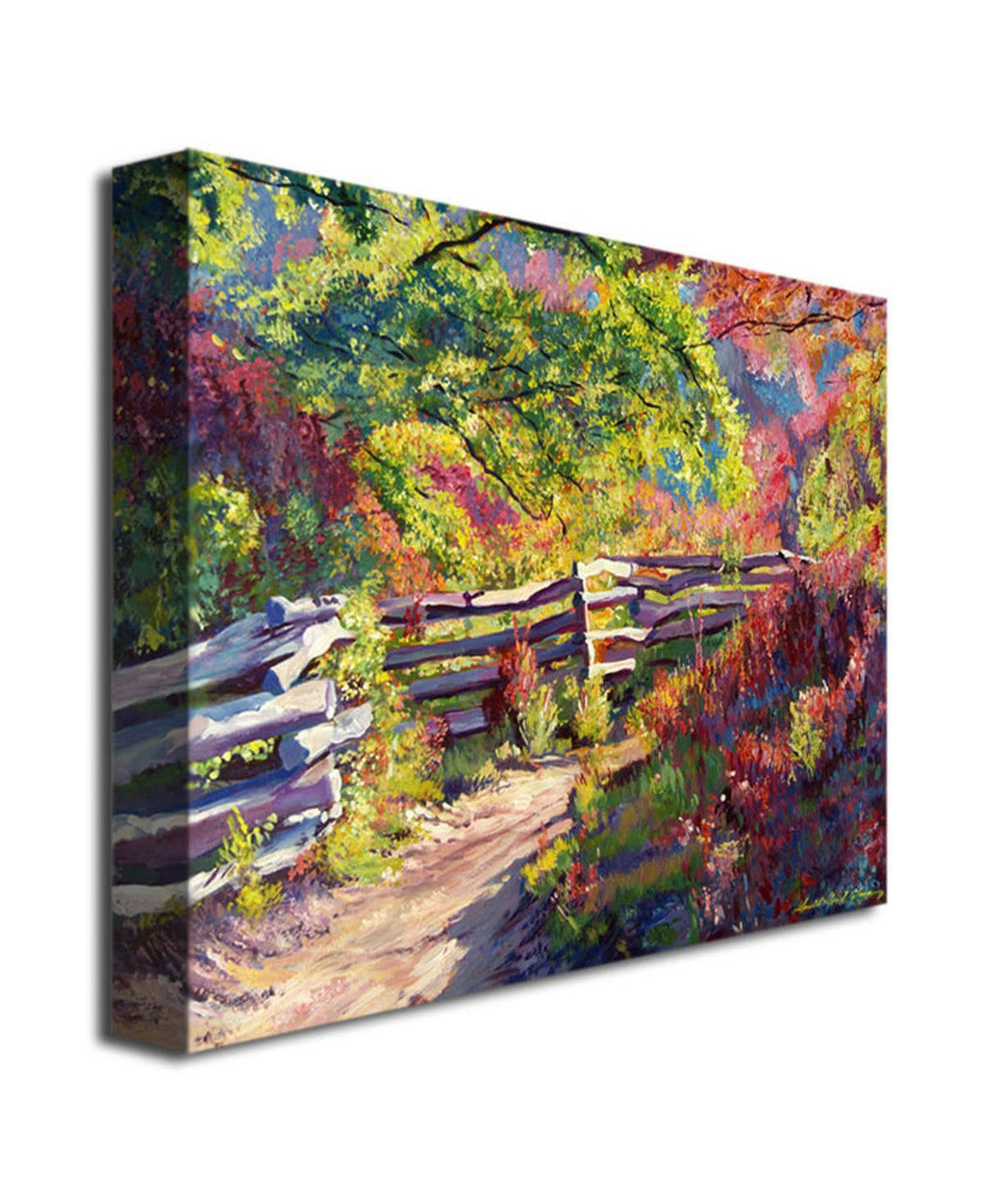 Canvas Art C156