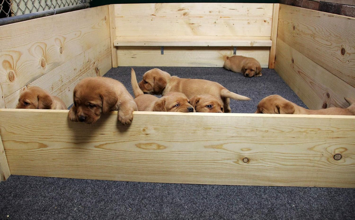 Washable Reusable Whelping Box Liner Mat P682