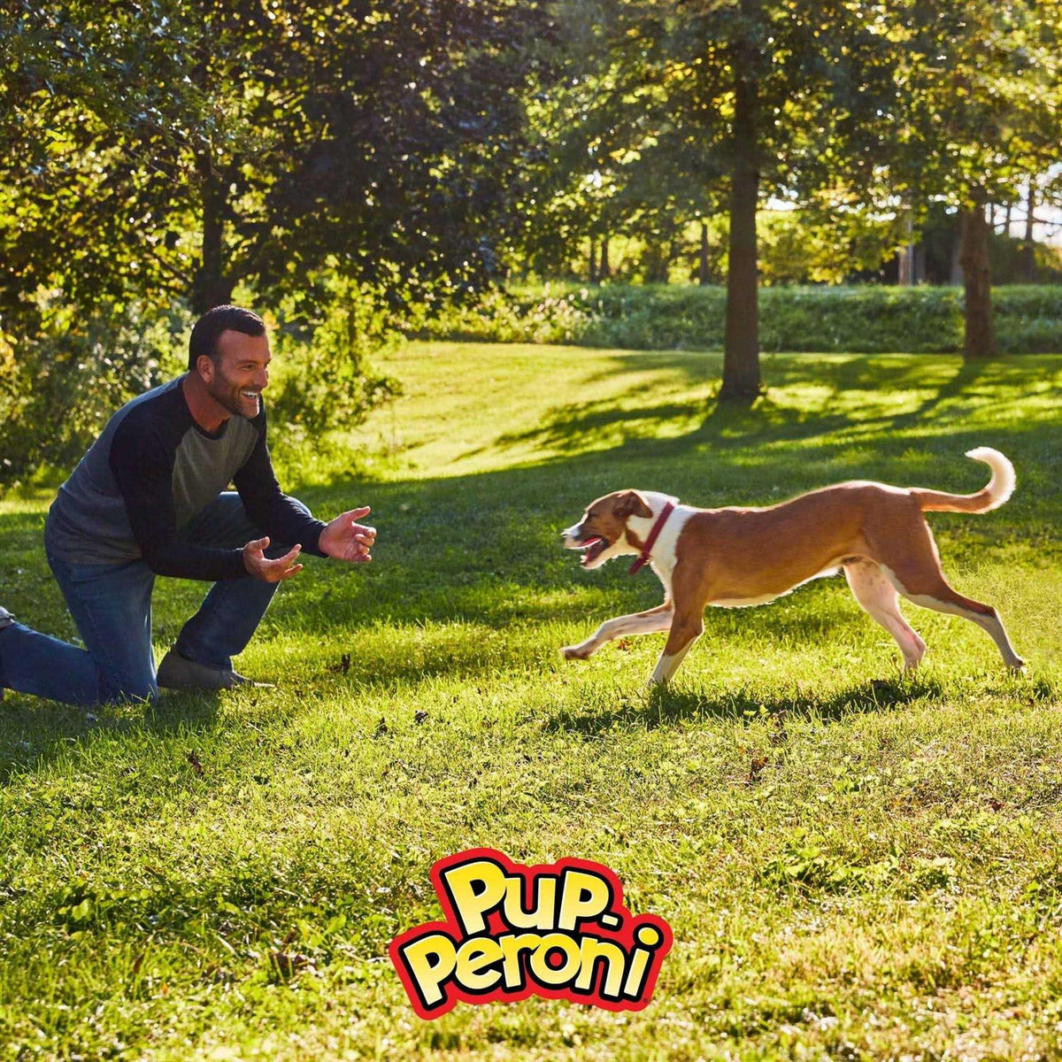 Pup-Peroni Triple Dog D7183