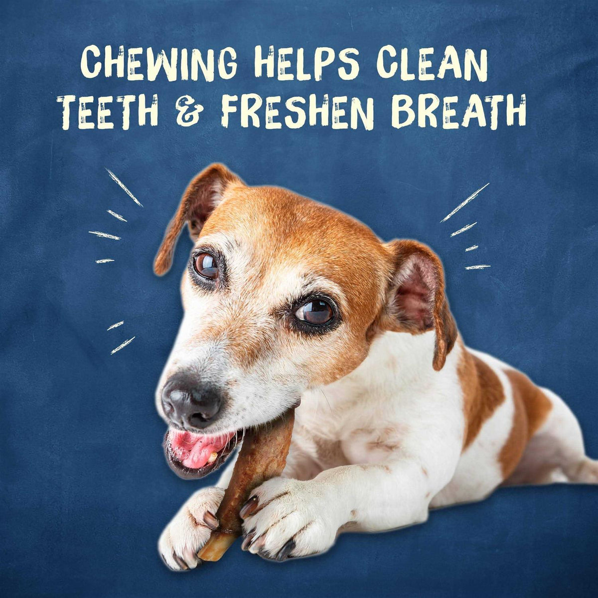 Chew Treats O17260