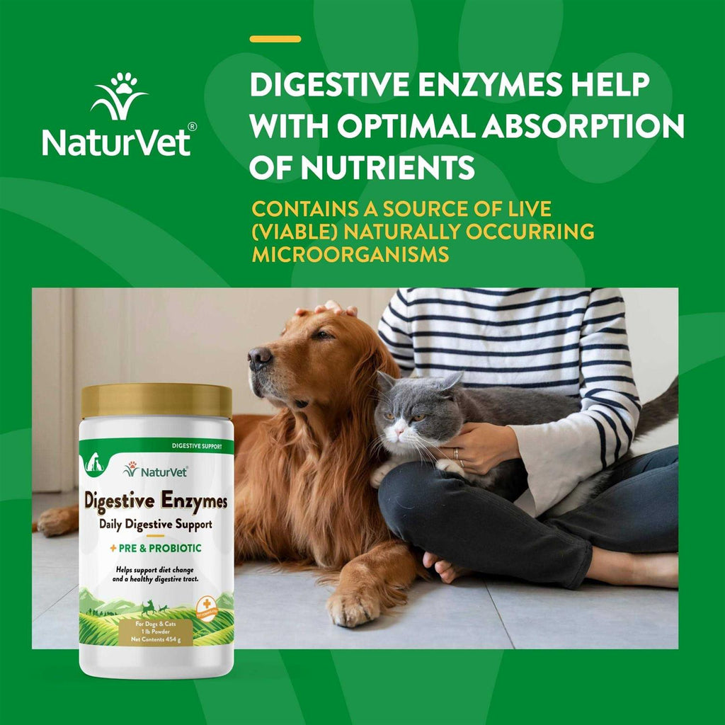 Digestive Enzymes J78067