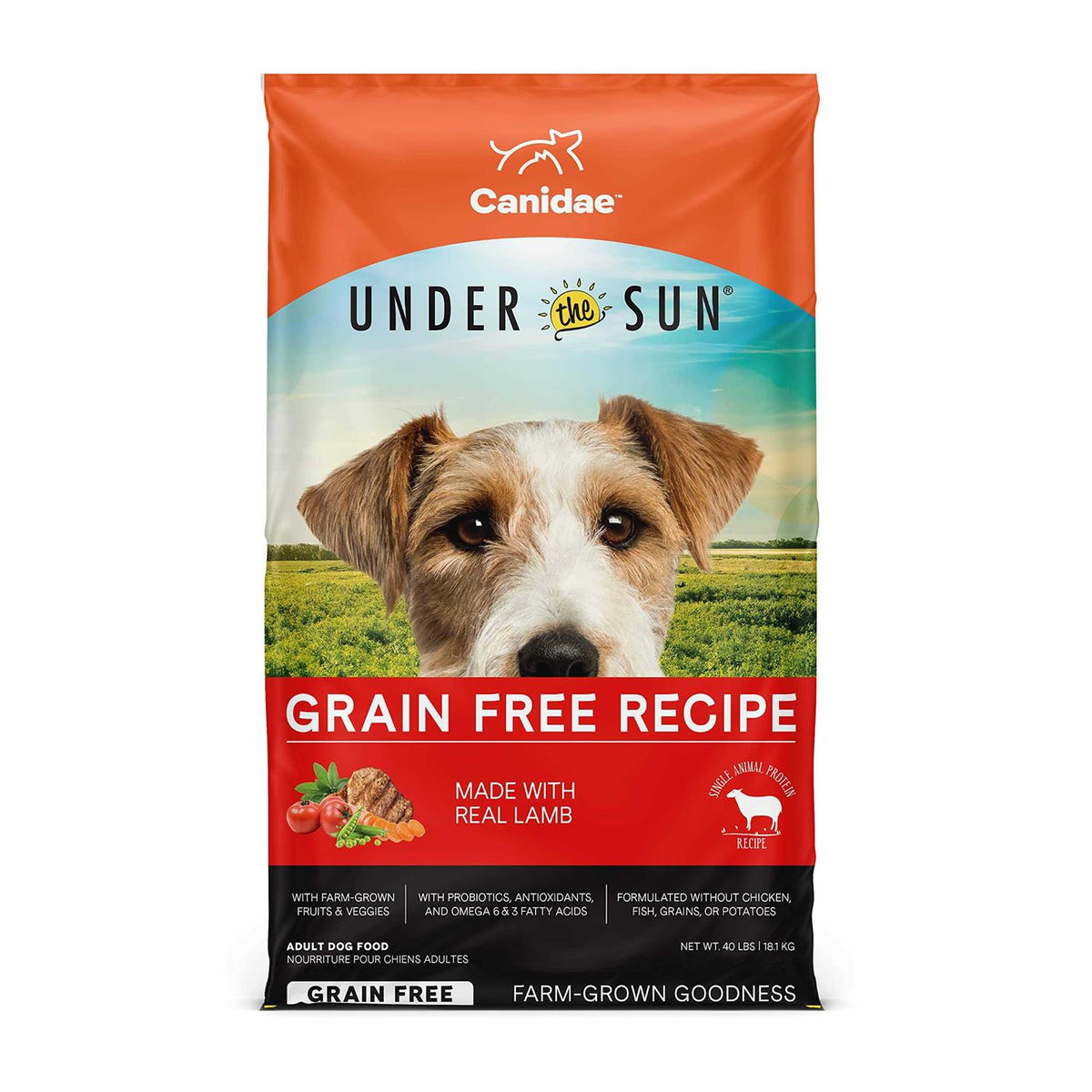 Grain Free Lamb Dry Dog Food T8639