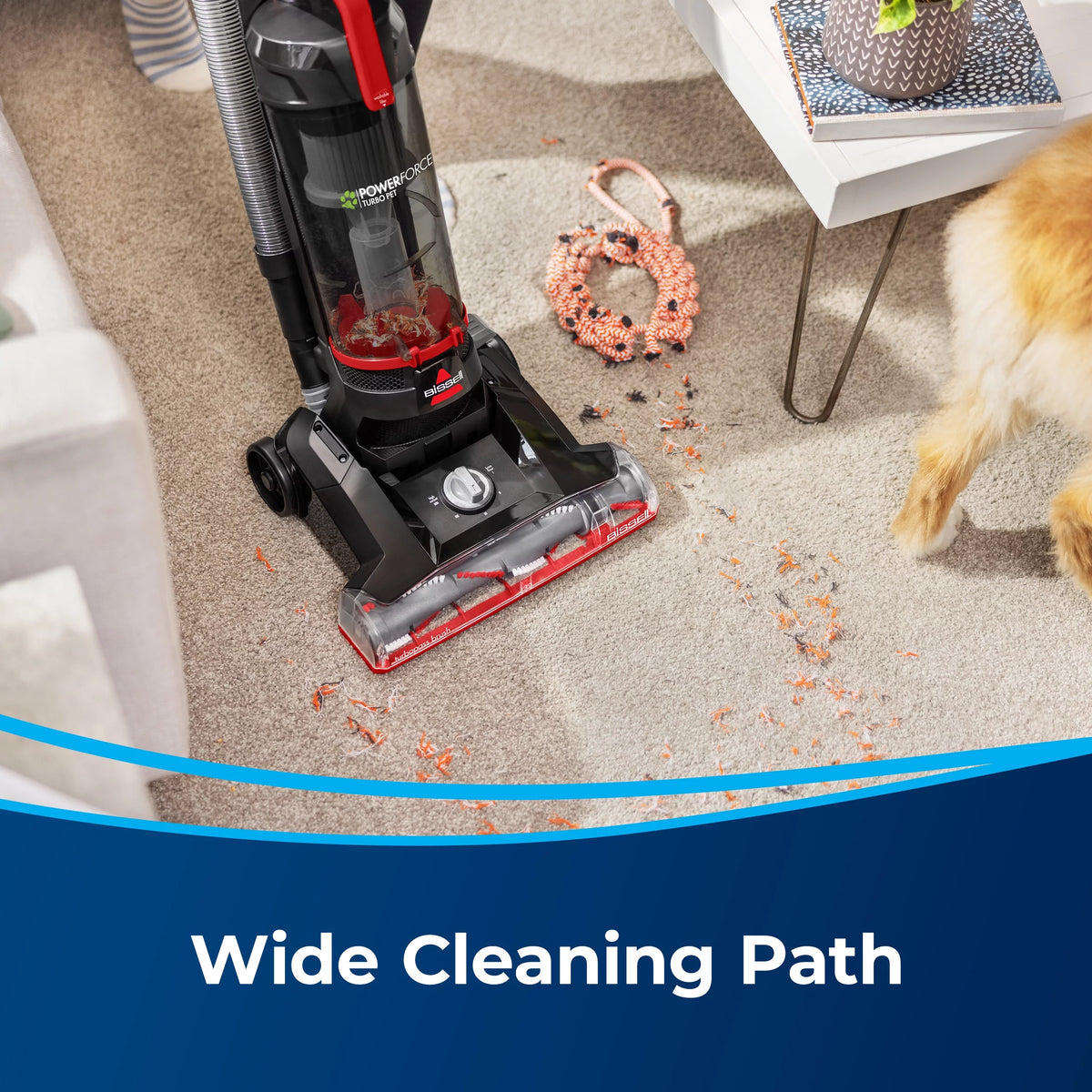 Upright Vacuum D49263
